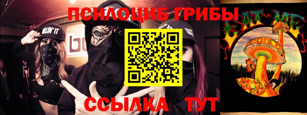Псилоцибиновые грибы Psilocybe Новосибирск